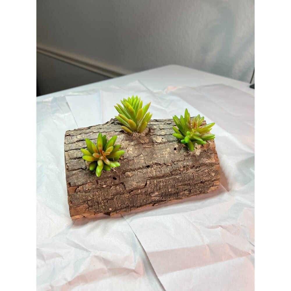 Natural Wood Slice with Faux Succulents